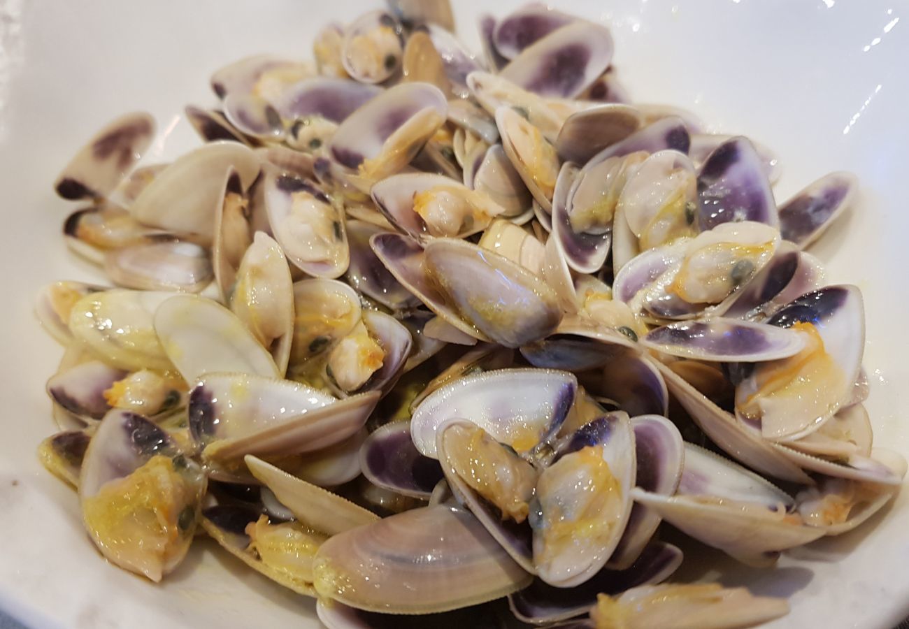 Apartament en Rosas / Roses - 1006 MILENI 50m Playa