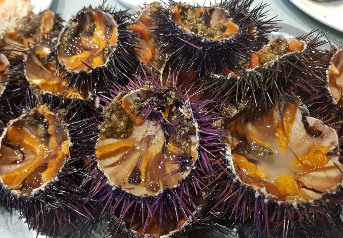 Apartament en Rosas / Roses - 1006 MILENI 50m Playa