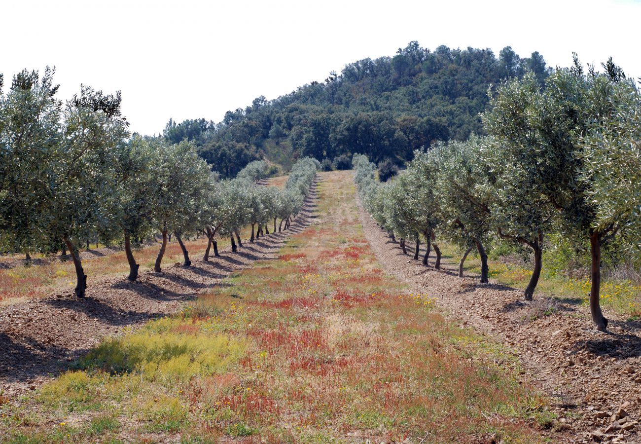 Casa en Palau-Saverdera - 1131 PALAU Casa con Piscina