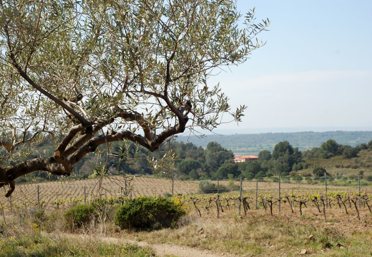 Casa en Palau-Saverdera - 1131 PALAU Casa con Piscina