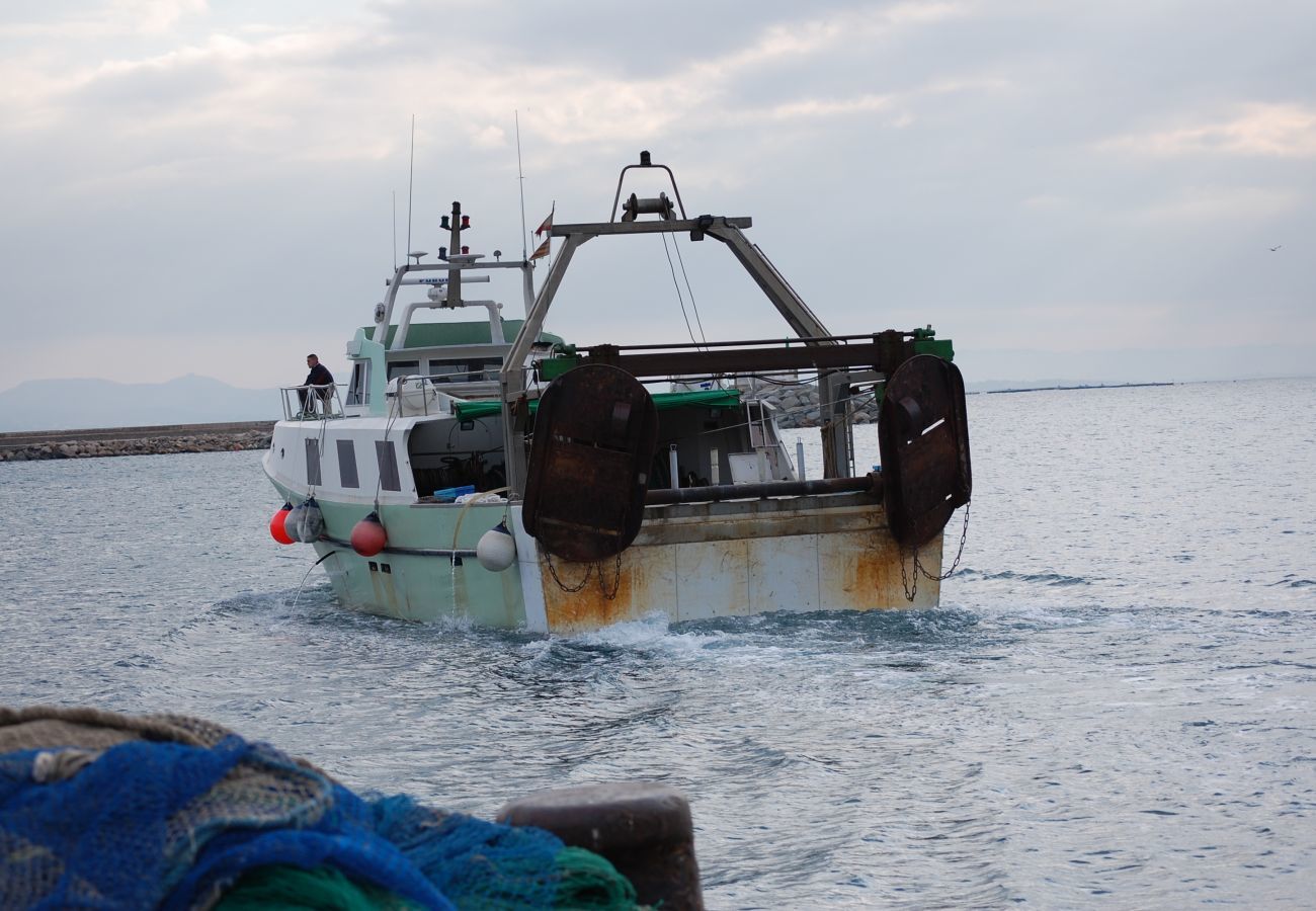 Apartament en Rosas / Roses - 1172 CANYELLES vista Mar