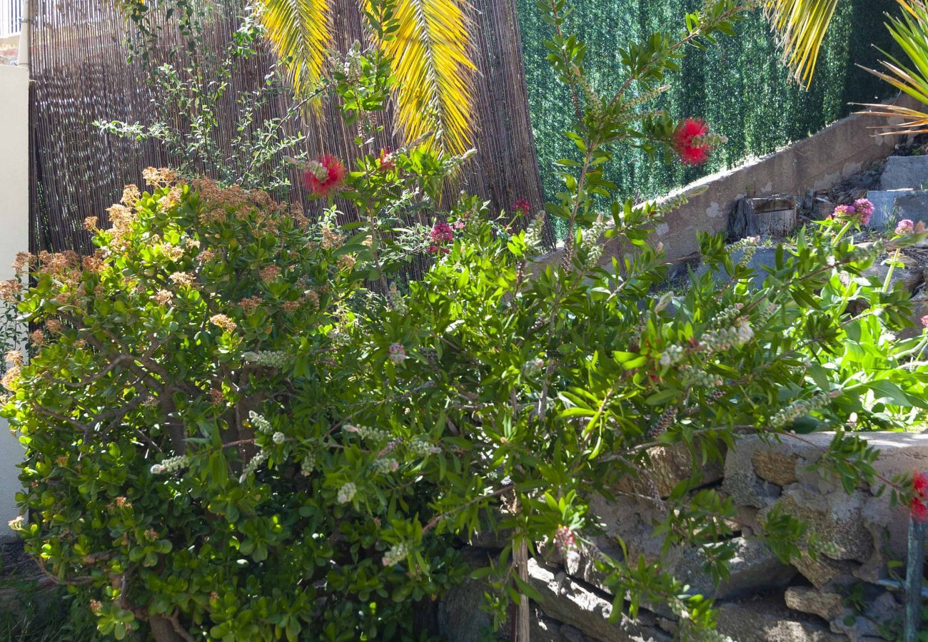 Apartament en Rosas / Roses - 1233 VILA NEUS con piscina