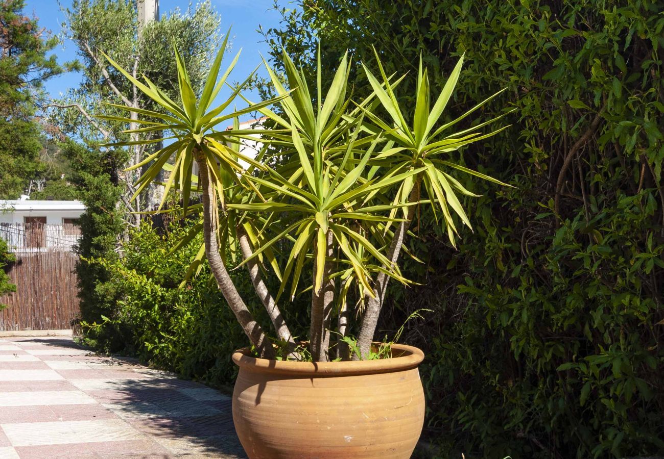 Apartament en Rosas / Roses - 1233 VILA NEUS con piscina