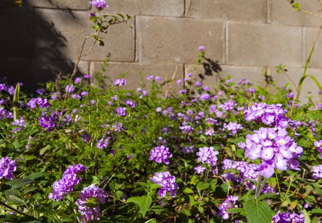 Apartament en Rosas / Roses - 1233 VILA NEUS con piscina