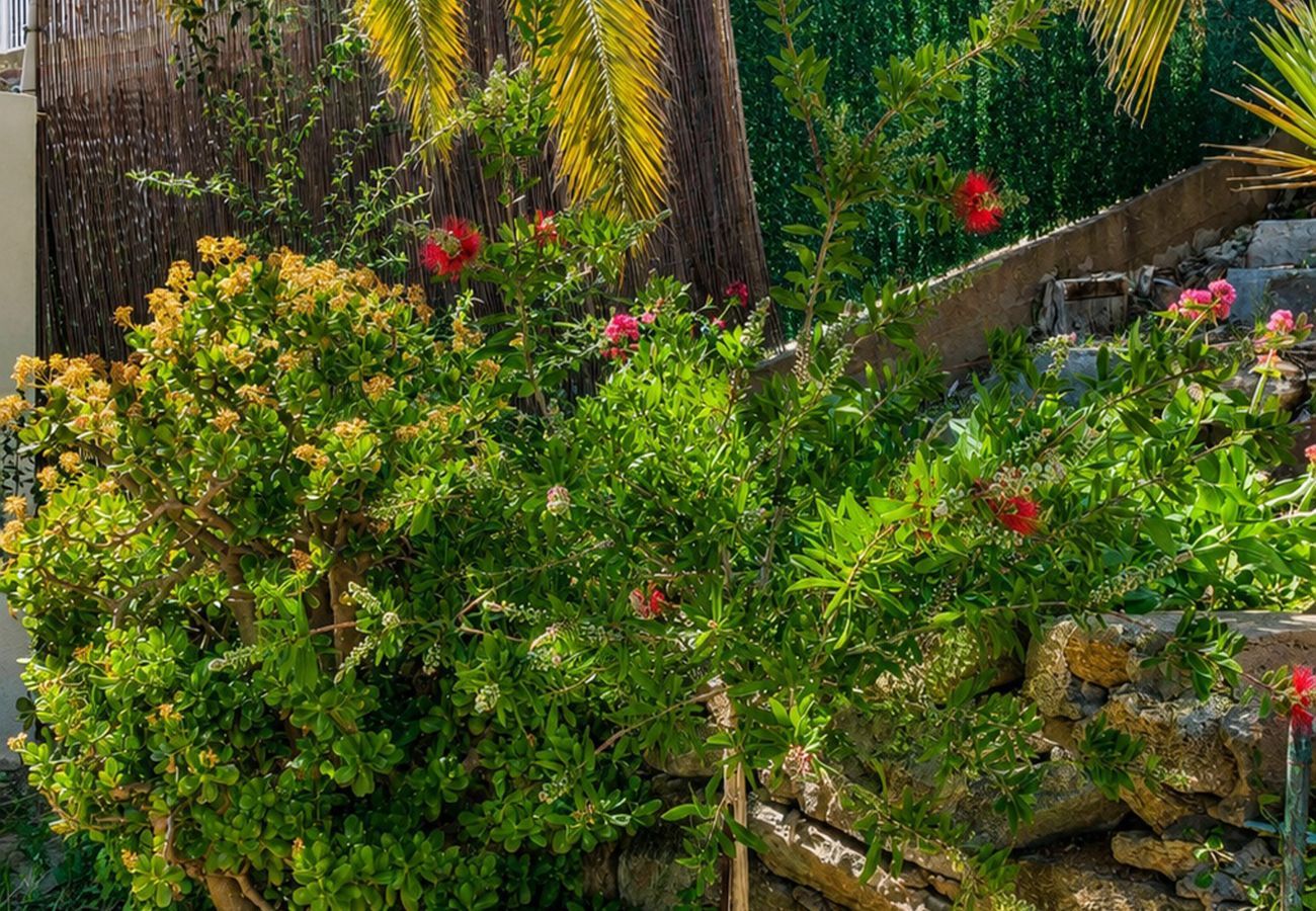 Apartament en Rosas / Roses - 1233 VILA NEUS con piscina - APIVEND